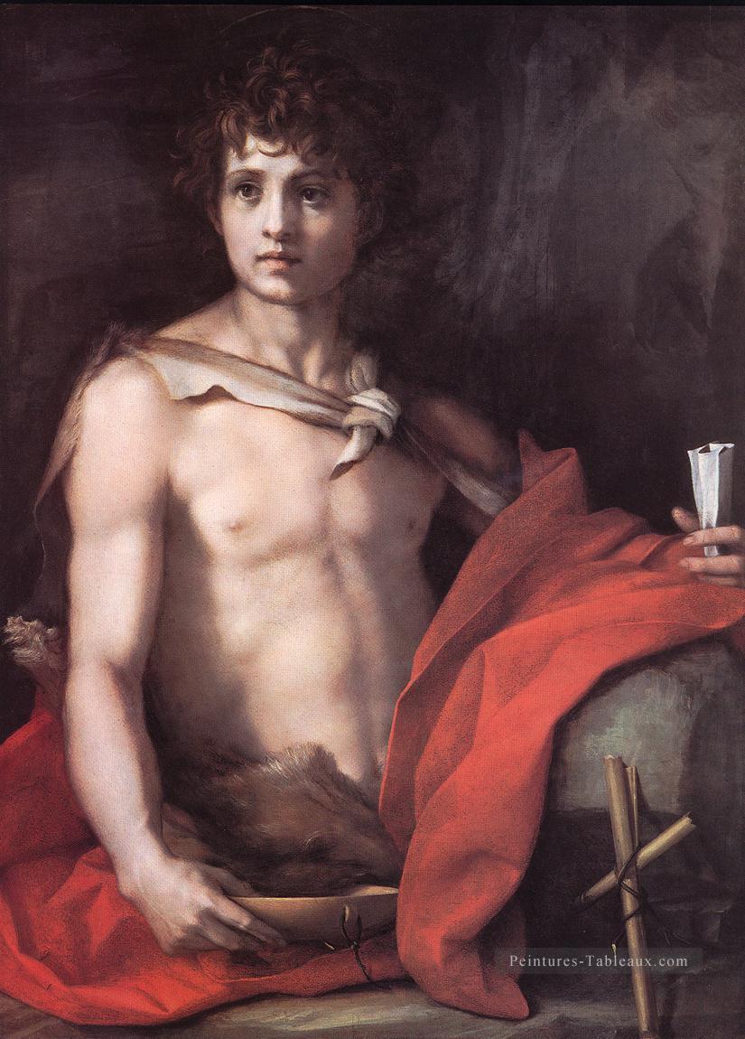 Saint Jean Baptiste renaissance maniérisme Andrea del Sarto Peintures à l'huile